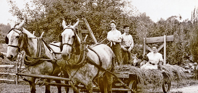 Hay Ride
