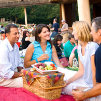 Wolf Trap Picnic