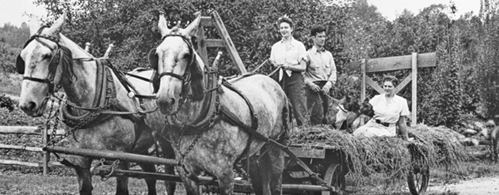 Shouse hayride