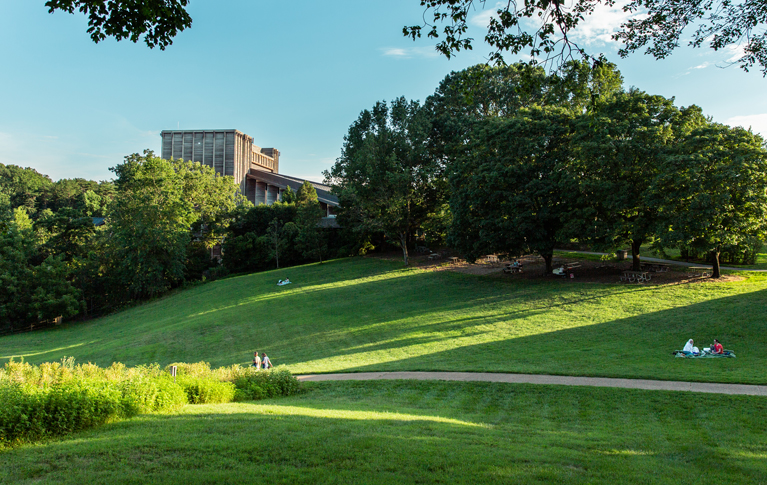 Filene Center Meadow