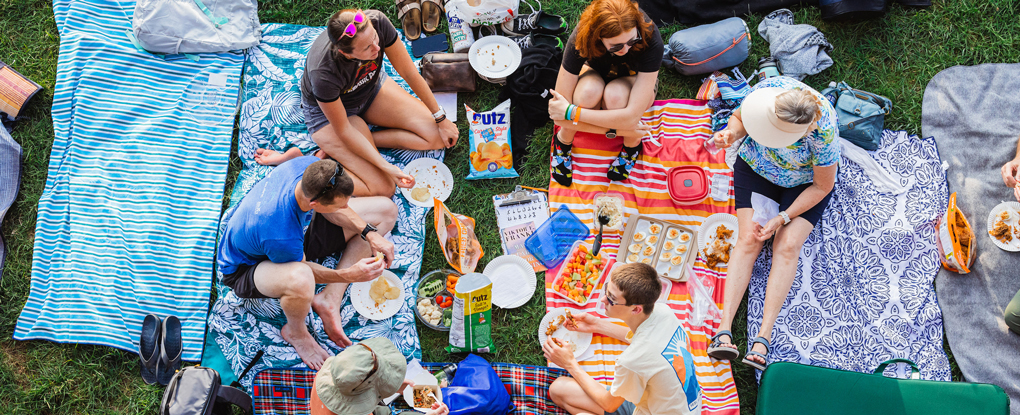 Filene Center Lawn Picnic