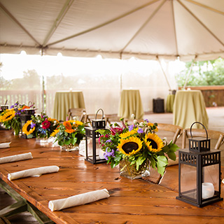 Wedding Venues And More Wolf Trap