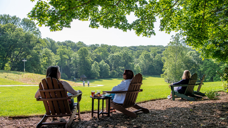 Adirondack chairs arranged under tree shade facing a wide grassy meadow with scenic views.