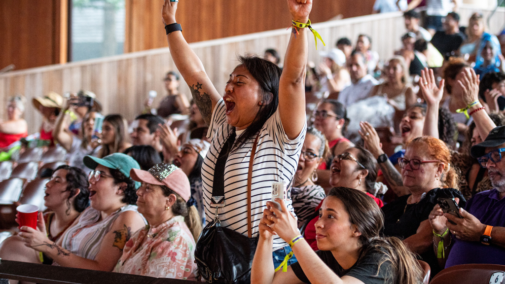 Wolf Trap audience applauds, and one person jumps up and cheers.