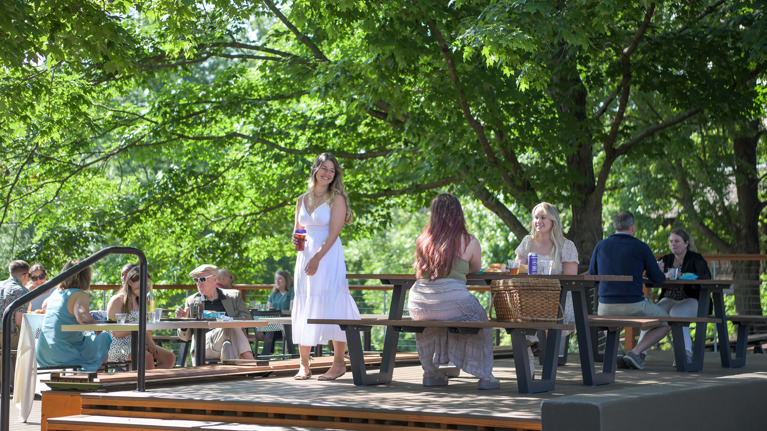 Elevated picnic deck with wooden tables and benches under leafy trees, offering shaded seating.
