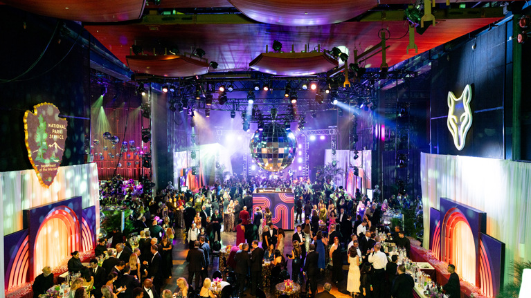 Wolf Trap Ball