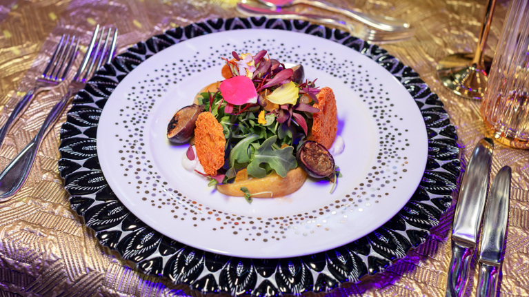 Wolf Trap Ball Food