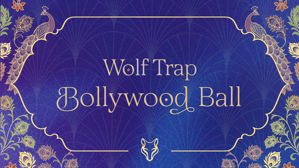 The 2025 Wolf Trap Ball
